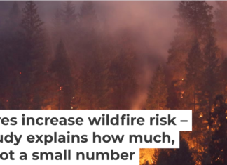 A record-tying heat wave helped spread a wildfire in Northern California’s Shasta and Trinity counties in July 2018. Terray Sylvester/Getty Images